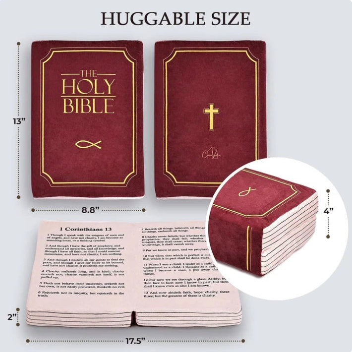 TheBiblicalPillow