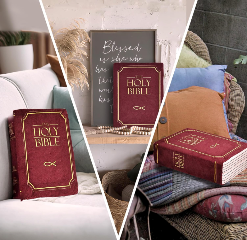 TheBiblicalPillow