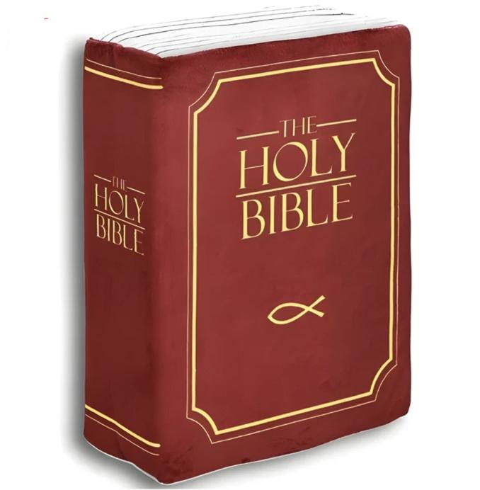 TheBiblicalPillow