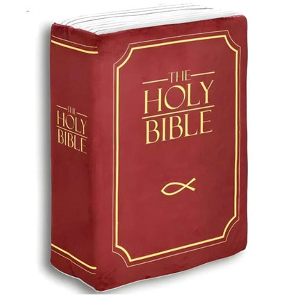 TheBiblicalPillow